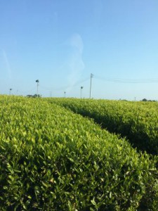 s-IMG_1164